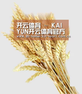 开云体育 - KAIYUN开云体育官方网站 - KAIYUN SPORTS