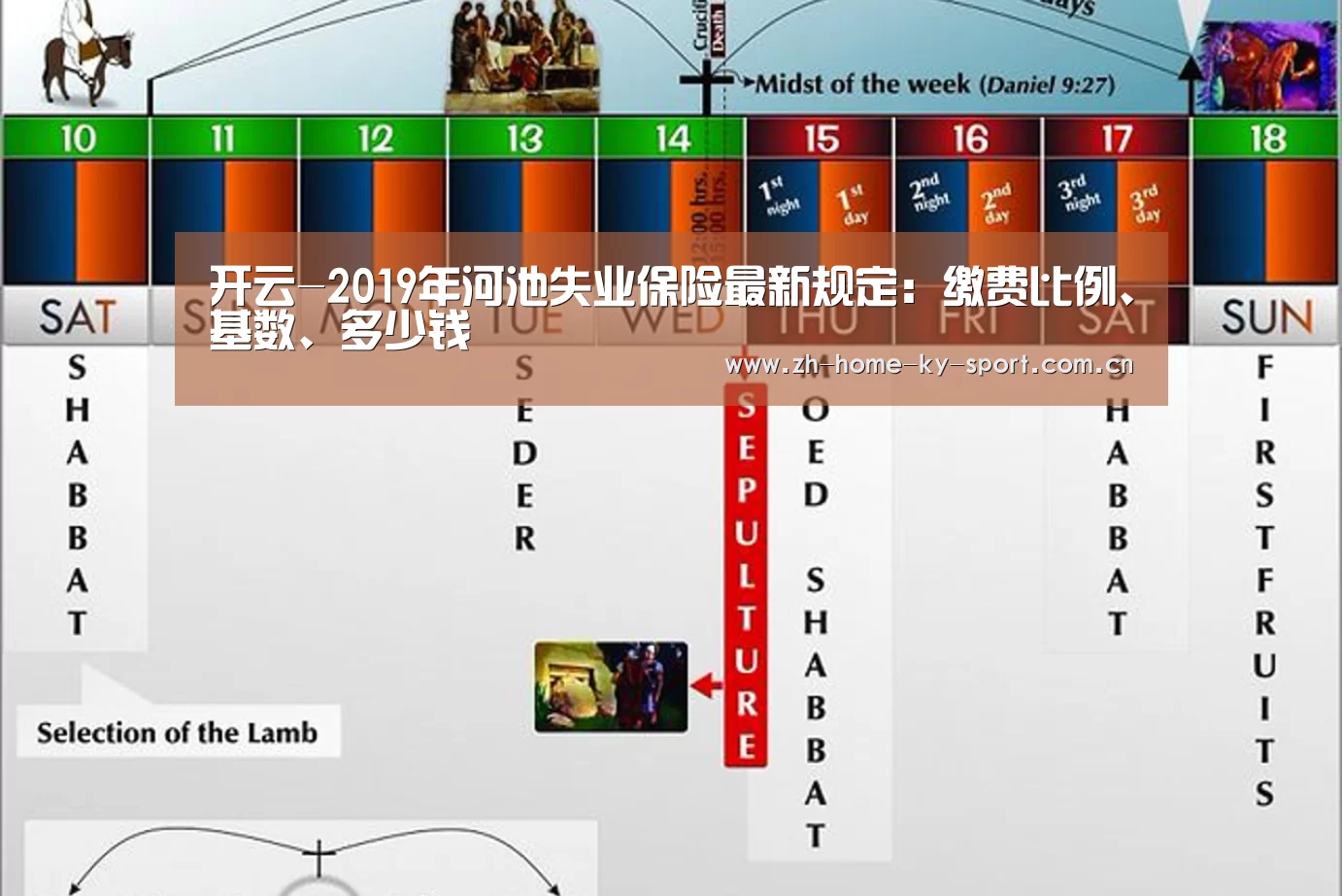 开云-2019年河池失业保险最新规定:缴费比例、基数、多少钱(图1) 开云体育官网