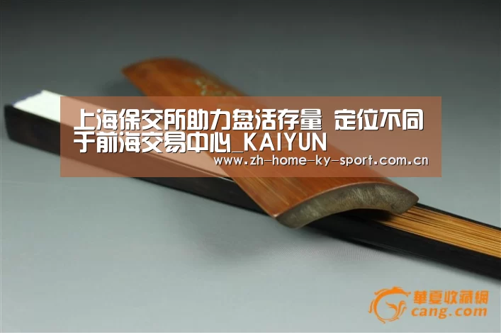 上海保交所助力盘活存量 定位不同于前海交易中心_KAIYUN(图1) 上海保交所助力盘活存量 定位不同于前海交易中心_KAIYUN(图1)