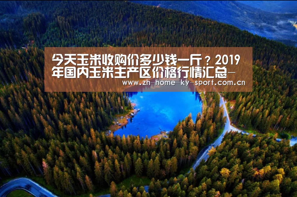 今天玉米收购价多少钱一斤?2019年国内玉米主产区价格行情汇总-开云体育官网(图1) 开云体育官网