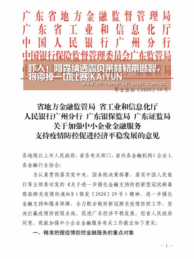 吓人!阿森纳透露贝莱林韧带断裂,将停掉一切比赛|KAIYUN(图1) 吓人!阿森纳透露贝莱林韧带断裂,将停掉一切比赛|KAIYUN(图1)