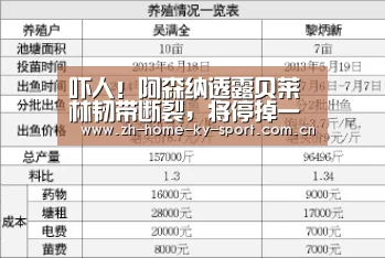 吓人!阿森纳透露贝莱林韧带断裂,将停掉一切比赛|KAIYUN(图2) 吓人!阿森纳透露贝莱林韧带断裂,将停掉一切比赛|KAIYUN(图2)