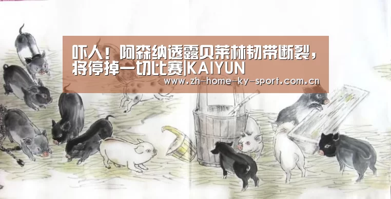 吓人!阿森纳透露贝莱林韧带断裂,将停掉一切比赛|KAIYUN(图3) 开云体育官网