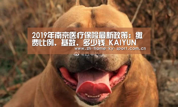 2019年南京医疗保险最新政策：缴费比例、基数、多少钱_KAIYUN(图2)